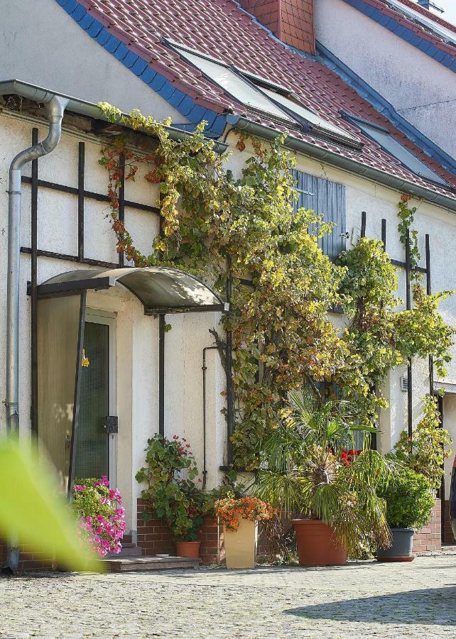 Appartement Reiterhof Wollnau Extérieur photo